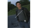 Dominic West The Wire genuine authentic autograph signed photo. COA UACC Dominic West The Wire genuine authentic autograph signed photo. COA UACC