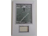 Karl Wallender Flying Wallenders high wire genuine authentic signed autograph display. COA UACC