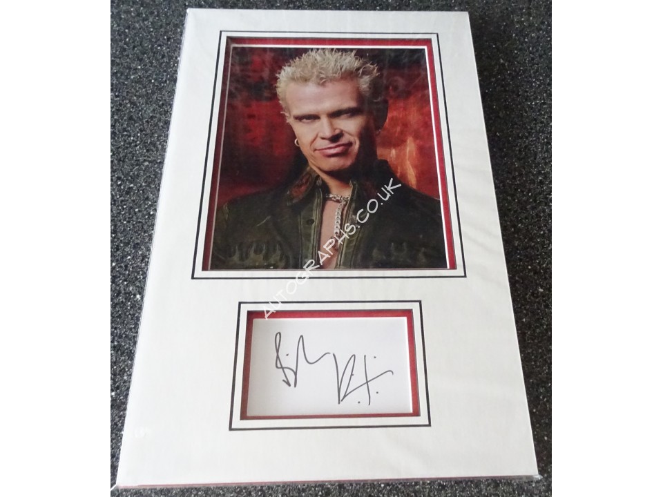 Billy Idol authentic signed genuine autograph photo display. COA UACC