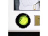 Roger Federer, Rafael Nadal signed genuine authentic tennis ball display. COA UACC