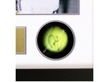 Roger Federer, Rafael Nadal signed genuine authentic tennis ball display. COA UACC