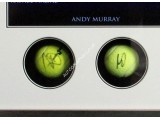 Andy Murray, Federer, Nadal, Djokovic signed genuine authentic tennis ball display. COA UACC