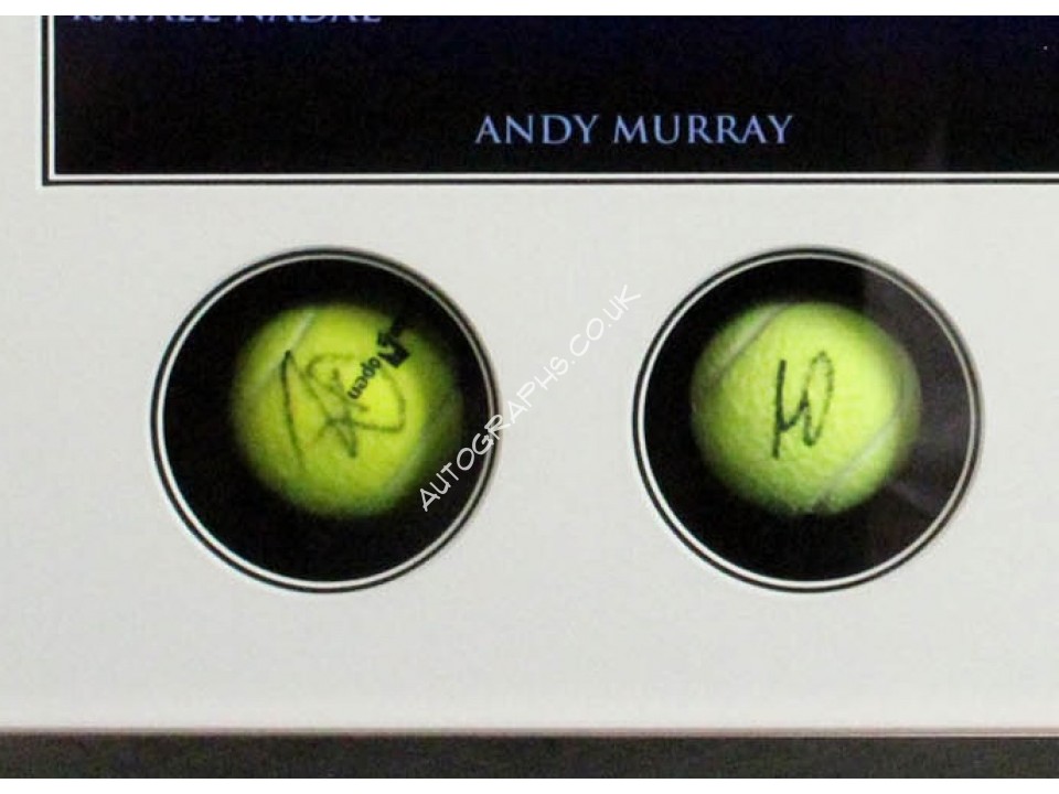Andy Murray, Federer, Nadal, Djokovic signed genuine authentic tennis ball display. COA UACC