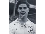 Maurice Norman Spurs Tottenham signed authentic genuine signature photo. COA UACC Maurice Norman Spurs Tottenham signed authentic genuine signature photo. COA UACC
