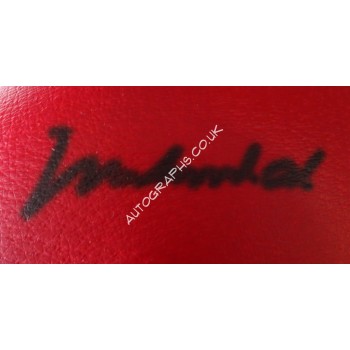 Muhammad Ali boxing Steiner signed authentic genuine signature glove. COA UACC