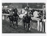 Bob Champion Aldaniti genuine authentic signed photo. COA UACC Bob Champion Aldaniti genuine authentic signed photo. COA UACC