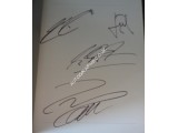 Michael Schumacher Ferrari F1 genuine authentic signed autograph year book.. COA UACC Michael Schumacher Ferrari F1 genuine authentic signed autograph year book.. COA UACC