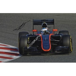 Fernando Alonso McLaren F1 genuine authentic autograph signed photo. COA UACC