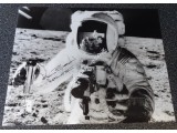 Alan Bean Apollo 12 authentic genuine signature signed photo. COA UACC