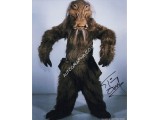 Star Wars Tim Dry signed genuine autograph signature photo 2. COA UACC
