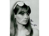 Jean Shrimpton model signed genuine signature autograph photo. COA UACC
