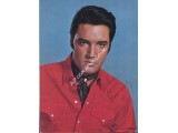 Elvis Presley multi signed authentic genuine autograph photo album. COA UACC Elvis Presley multi signed authentic genuine autograph photo album. COA UACC