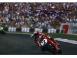 Carl Fogarty Superbikes TT authentic signed autograph photo. COA UACC