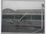 Les Allen football Tottenham Hotspurs authentic genuine signed photo. COA UACC