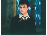 Daniel Radcliffe genuine authentic signed autographs. COA UACC