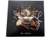 Stereophonics Kelly Jones music authentic signed genuine signature autograph vinyl. COA UACC Stereophonics Kelly Jones music authentic signed genuine signature autograph vinyl. COA UACC