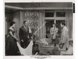 David Niven genuine signed authentic signature photo. COA UACC
