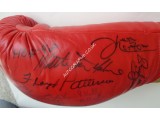 Ken Norton Floyd Patterson signed original genuine authentic glove. COA UACC