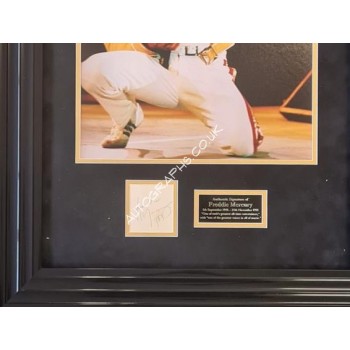 Freddie Mercury Queen authentic signed signature autograph display. COA UACC