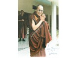 Dalai Lama Signed Photograph. COA UACC