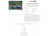 Michael Schumacher Signed Photograph. COA UACC Michael Schumacher Signed Photograph. COA UACC