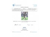 David Beckham Signed (Large) Photograph. COA UACC