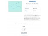 Bryan Ferry Ink Signature Page. COA UACC Bryan Ferry Ink Signature Page. COA UACC