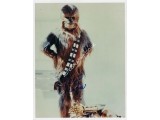 Peter Mayhew Signed Photograph. Pre Certified ACOA