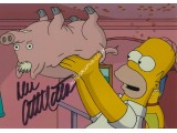 Dan Castellaneta Signed Homer Simpson Spider Pig Photo The Simpsons