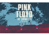 Nick Mason Pink Floyd Signed Art Card For Live At Pompeii 1971 CD Nick Mason Pink Floyd Signed Art Card For Live At Pompeii 1971 CD