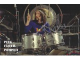 Nick Mason Pink Floyd Signed Art Card For Live At Pompeii 1971 CD Nick Mason Pink Floyd Signed Art Card For Live At Pompeii 1971 CD