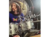 Nick Mason Pink Floyd Signed Art Card For Live At Pompeii 1971 CD Nick Mason Pink Floyd Signed Art Card For Live At Pompeii 1971 CD