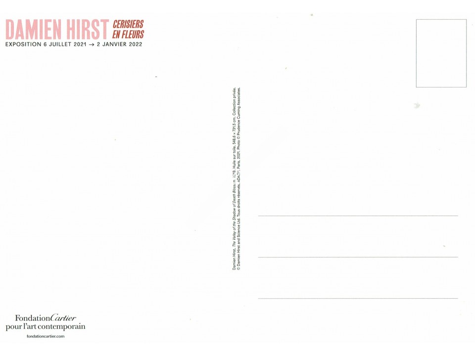 Damien Hirst In Person Signature ACOA
