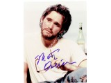 Matt Dillon  original authentic genuine autograph signed photo. COA UACC