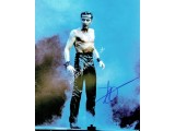 Michael Flatley original authentic genuine autograph signed photo. COA UACC Michael Flatley original authentic genuine autograph signed photo. COA UACC
