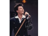 Paul Young authentic signed autograph colour photo. COA UACC