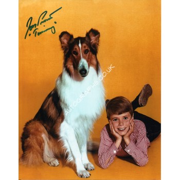 Jon Provost Lassie genuine signed authentic signature photo. COA UACC