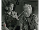 Sylvia Syms genuine signed authentic signature photo. COA UACC Sylvia Syms genuine signed authentic signature photo. COA UACC