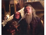 David Bradley Harry Potter genuine signed authentic signature photo. COA UACC David Bradley Harry Potter genuine signed authentic signature photo. COA UACC