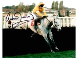 Richard Dunwoody Horse Racing signed autograph photo. COA UACC