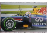 Sebastian Vettel Red Bull F1 genuine authentic signed autograph photo. COA UACC