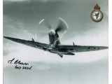 WW2 Reg Cleaver Spitfire signed authentic autograph photo. COA UACC