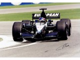 Fernando Alonso genuine signed original autograph photo. COA UACC Fernando Alonso genuine signed original autograph photo. COA UACC